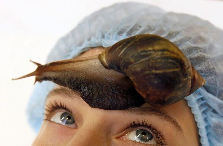 rejuvenescimento de caracol
